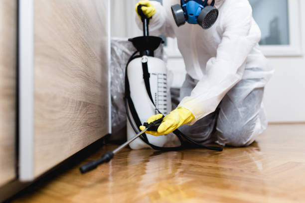 Trusted Chesterfield, SC Pest Control Experts