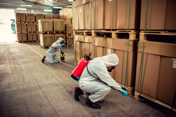 Best Cockroach Control Services  in Chesterfield, SC