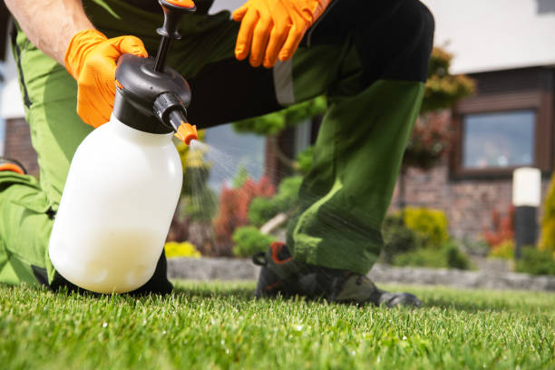 Best Termite Control Services  in Chesterfield, SC