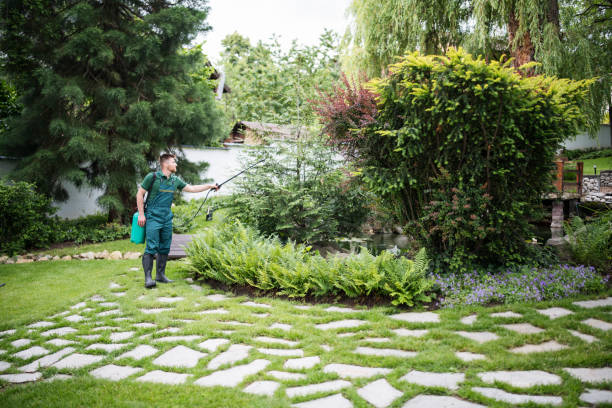 Best Insect Control  in Chesterfield, SC