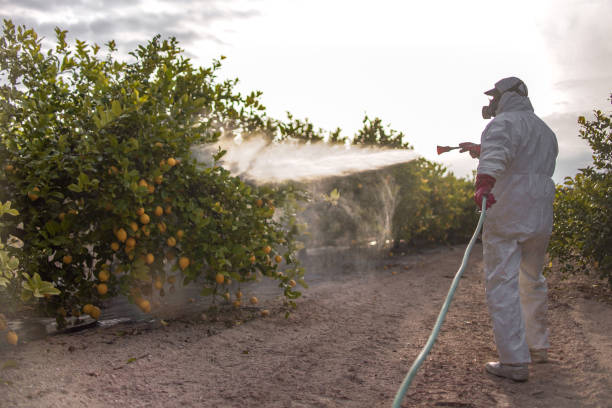 Best Local Pest Control Services  in Chesterfield, SC
