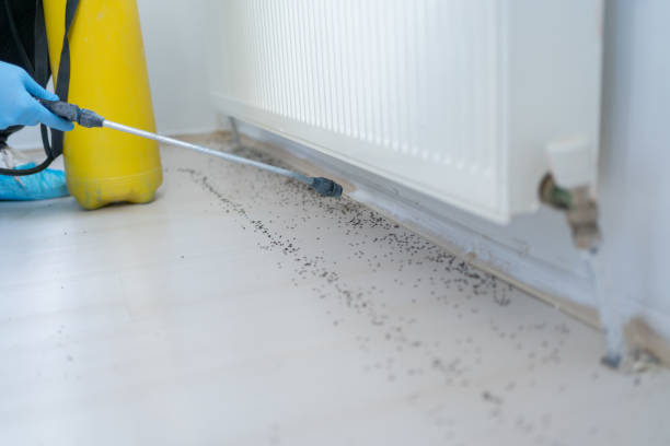 Pest Control Cost in Chesterfield, SC