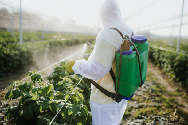 Best Bed Bug Extermination  in Chesterfield, SC